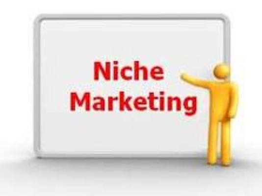 Product picture Niche Marketing Revealled